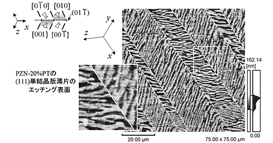 図２　走査プローブ顕微鏡 (SPM) を用いて観察されたPZN-20%PT の強誘電性・強弾性 domain wall 構造。観察結果は島津製作所のホームページ (SPM資料室) に掲載されています。
